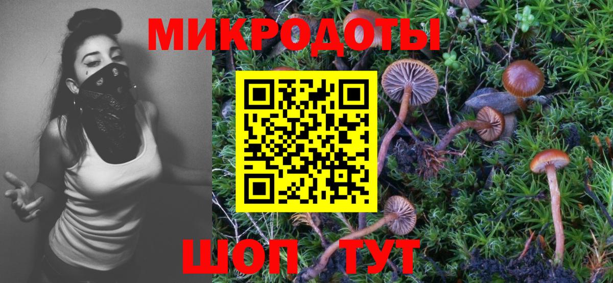 Алапаевск  Псилоцибиновые грибы мухоморы  Вход с VPN 