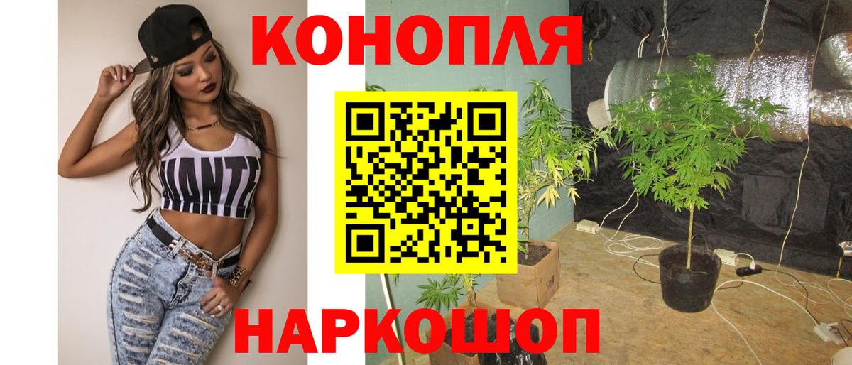Бошки марихуана тримм  Конопля ГИДРОПОН  Алапаевск  МАРИХУАНА ГИДРОПОН  Вход с VPN  Канабис сатива 